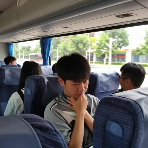 空调大巴里突然的凉爽让我打了个寒颤。