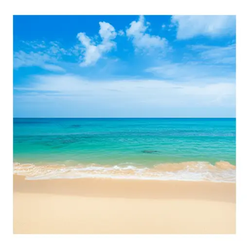 这张明信片上的照片很漂亮。