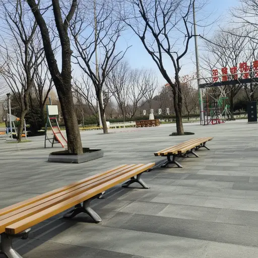 我们从未去过那个公园。