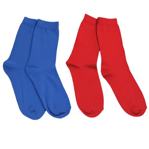 我有一只蓝色的袜子和一只红色的袜子。