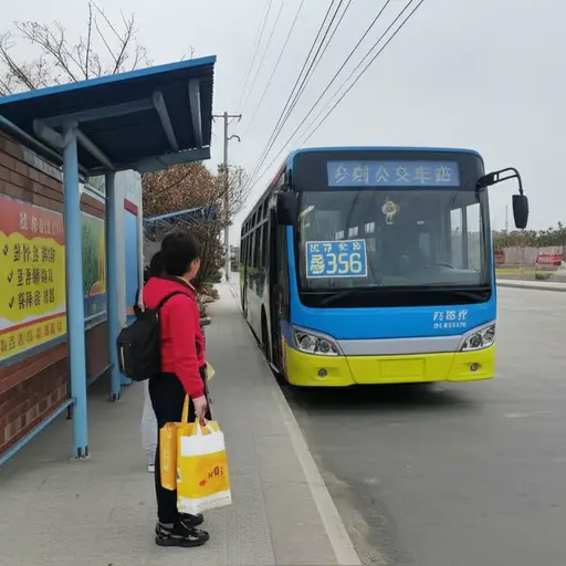 去我村子的公交车票价很贵。