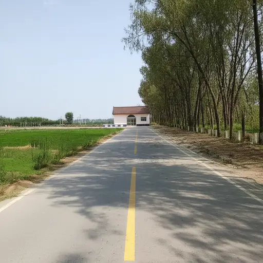 你可以在右侧看到我的房子。