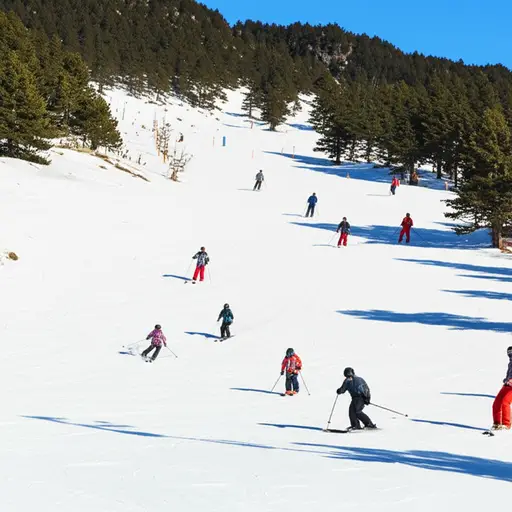 每年冬天，我们都在山里滑雪。