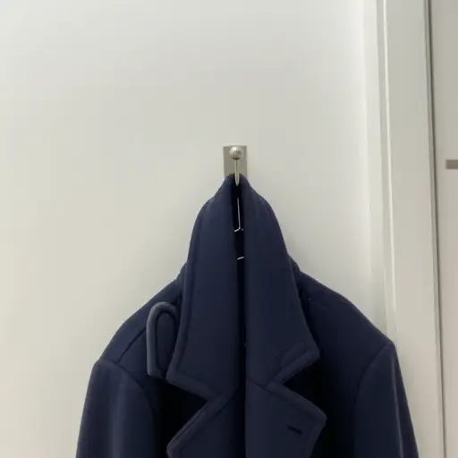 请把外套挂在门厅的挂钩上。