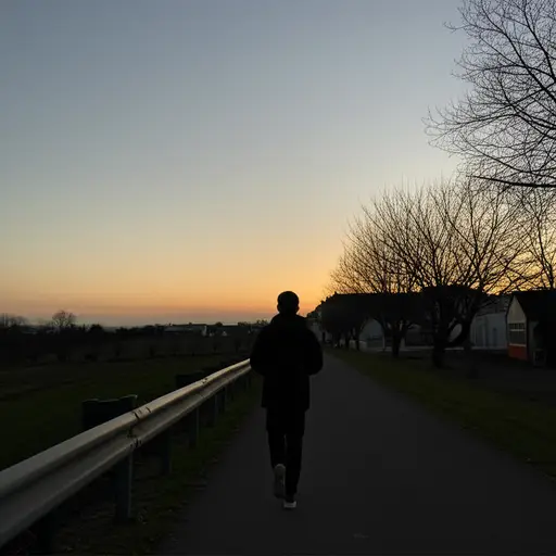 我想在天黑前回家。