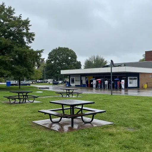 如果明天下雨，野餐会被取消。那样的话，我们可以改去看电影。