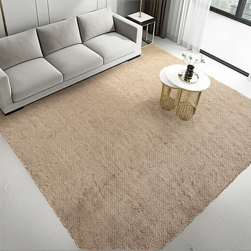 我们为客厅买了一块新的羊毛地毯。