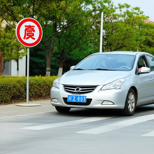 我不能把车开进去——那里有个“禁止入内”的标识。