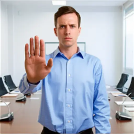 等一下——我不同意那个观点。