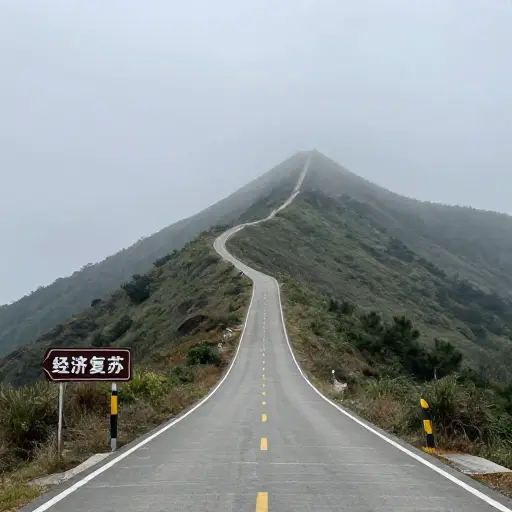 彻底的经济复苏可能仍需数年时间。