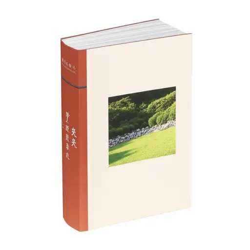 书的背面有一张图片。