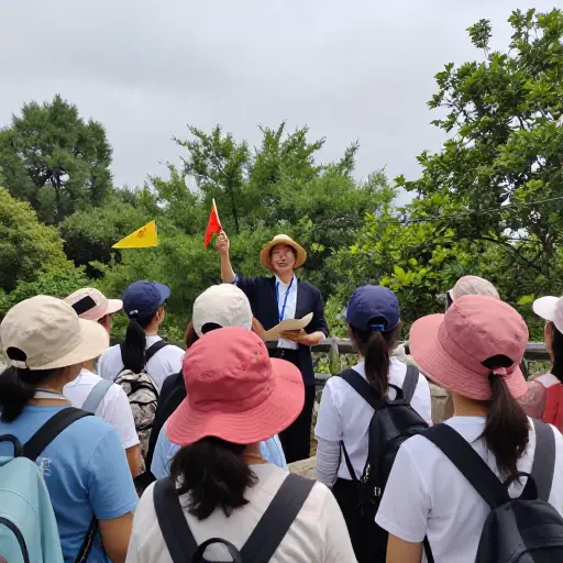 有没有（有组织的）旅行？