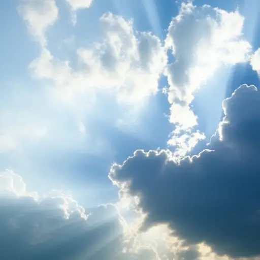 天气预报说下午会转多云。