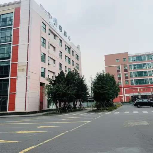 学校就在我家对面。