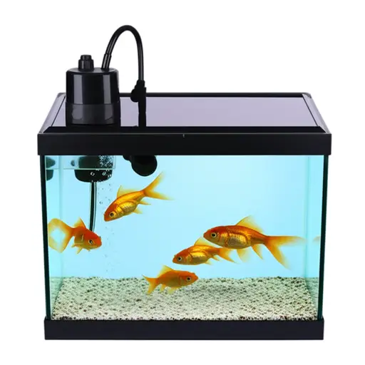 你需要连接一个氧气泵来为金鱼供氧。