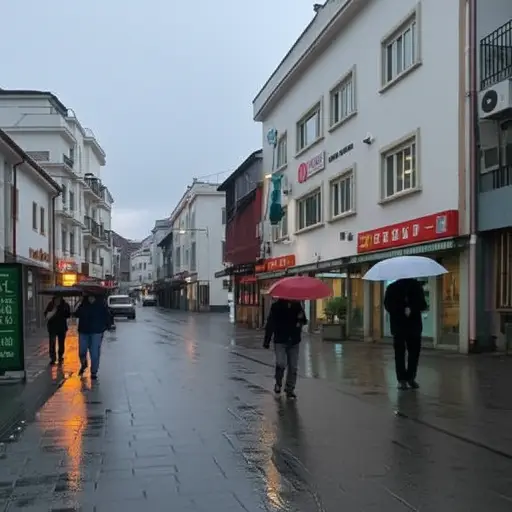 今天下了一整天的雨。