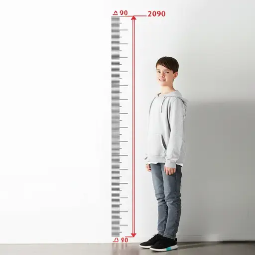 自从去年以来，我长高了。