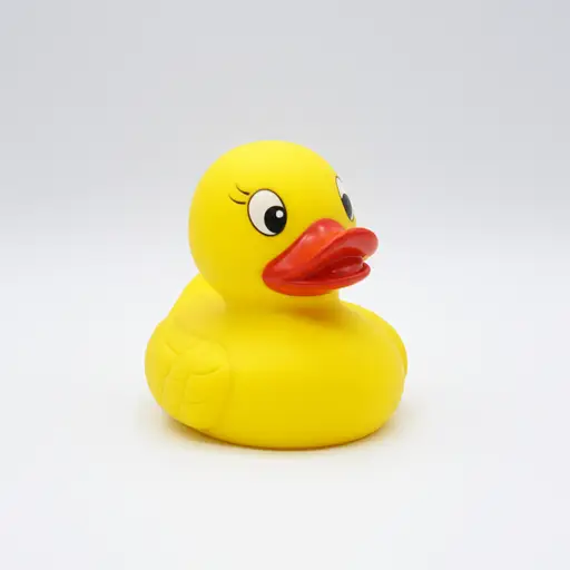 我有一只橡皮鸭子玩具。