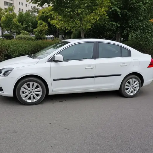 这辆车没问题。